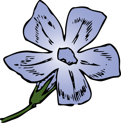 Periwinkle clipart