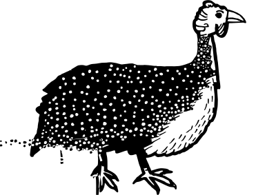 Perlhuhn clipart
