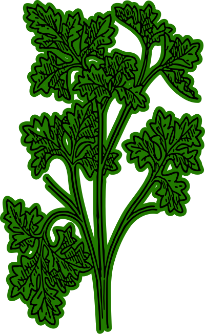 Persil clipart