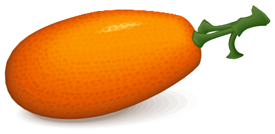 Persimmon clipart
