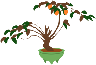 Persimmon bonsai tree clipart