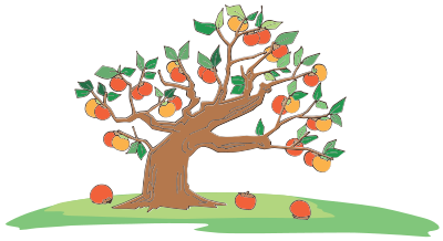 Persimmon Tree clipart