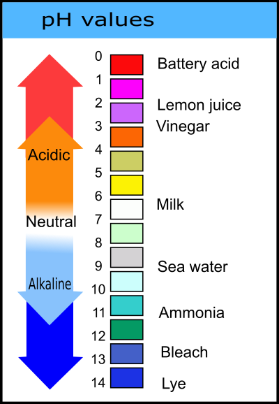 pH Values Chart clipart