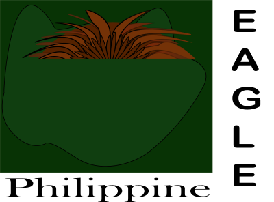Philippine Eagle clipart