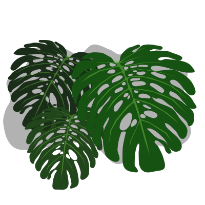 Philodendron clipart