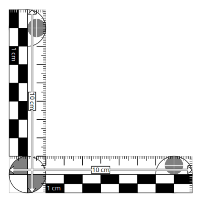 Photomacrographic scale 10x10cm clipart