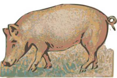 Pig 1895 clipart