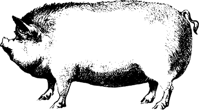 Pig clipart