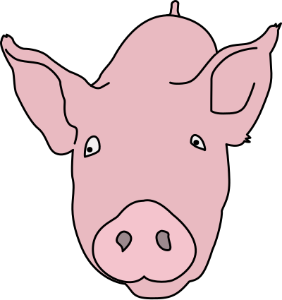 Pig Colour clipart