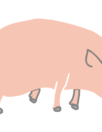 Pig marcelo caiafa1 clipart