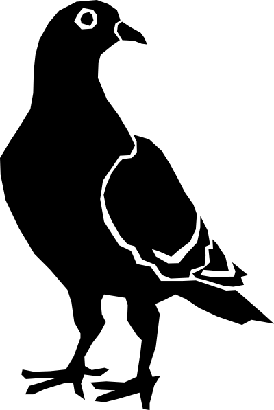 Pigeon clipart