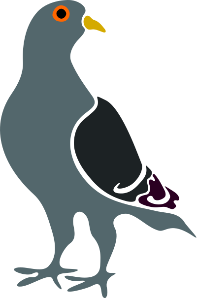 Pigeon clipart