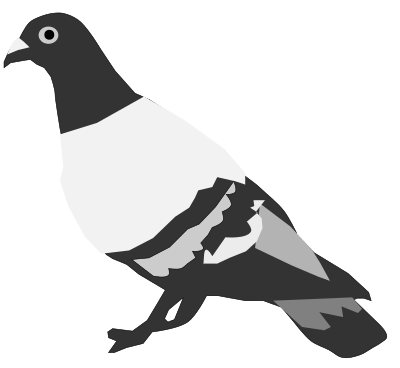 Pigeon (fixed) clipart