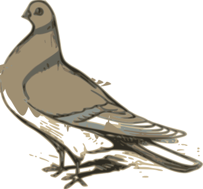 Pigeon illustration clipart