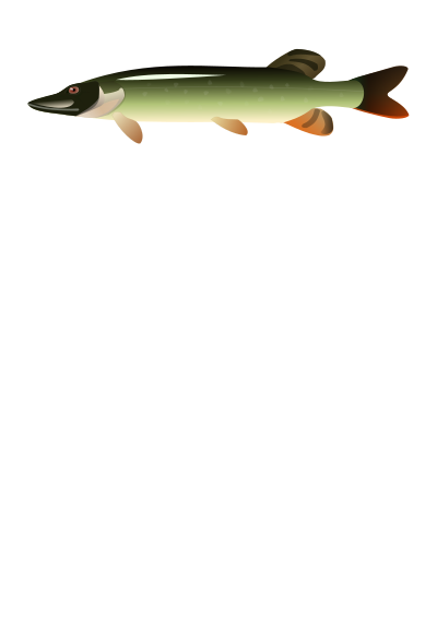 Pike clipart