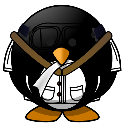 Pilot Penguin clipart