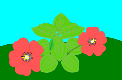 Pimpernel clipart