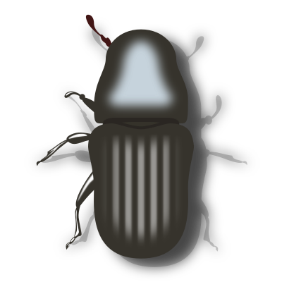 Pine Beetle clipart