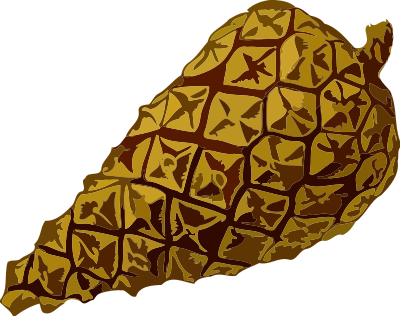 Pine cone 2 (low resolution) clipart