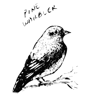 Pine Warbler Bird clipart