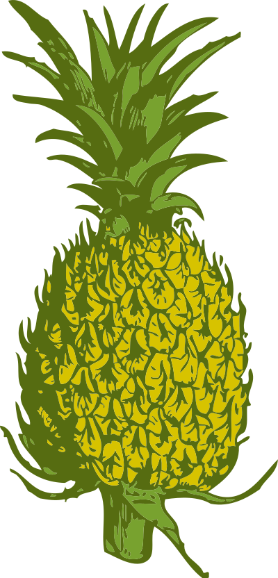 Pineapple clipart