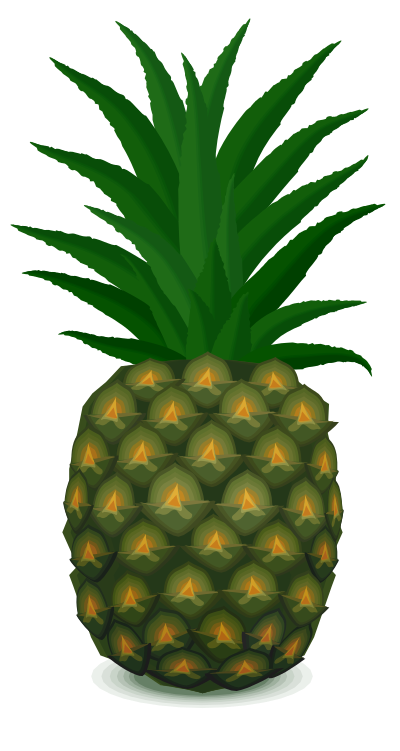 Pineapple clipart