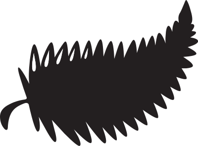 Pinecone clipart