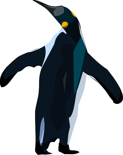 Pinguino clipart