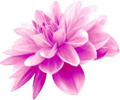 Pink flower clipart