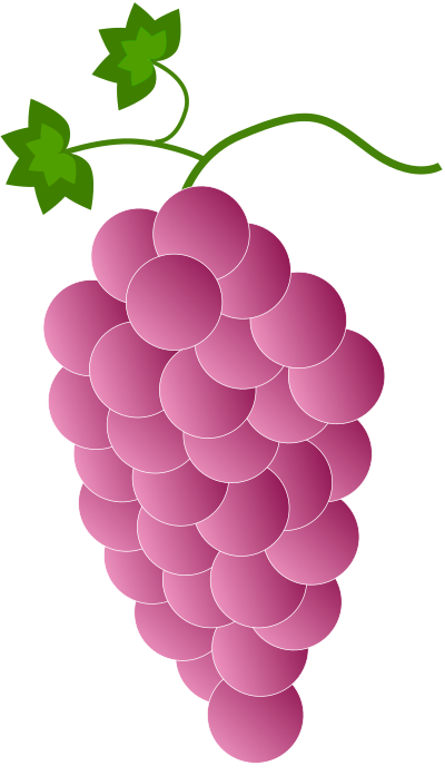 Pink grapes clipart