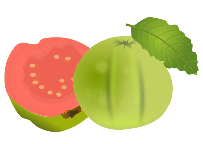 Pink Guava clipart
