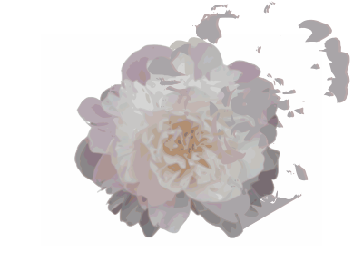 Pink Peony clipart