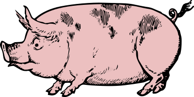 Pink Pig clipart
