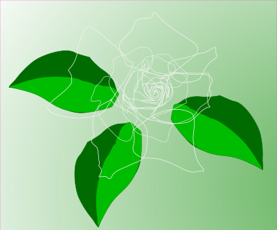 Pink rose clipart