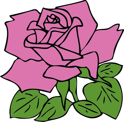 Pink rose clipart