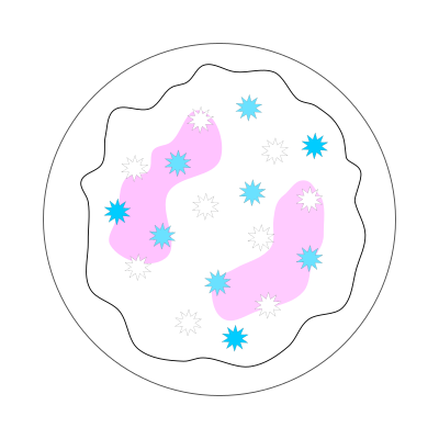Pink Sugar Cookie - Solid clipart