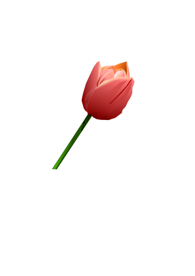 Pink Tulip clipart