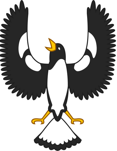 Piping shrike clipart