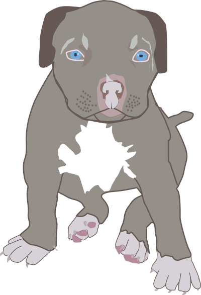 Pit Bull Puppy clipart
