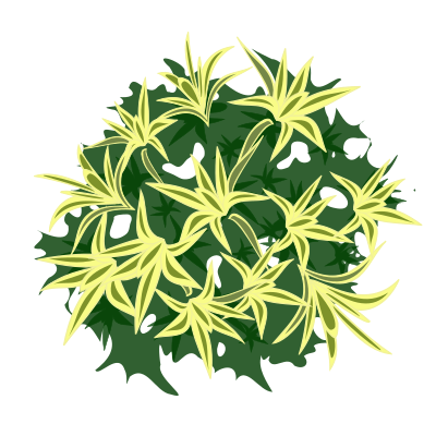 Plant-01a clipart