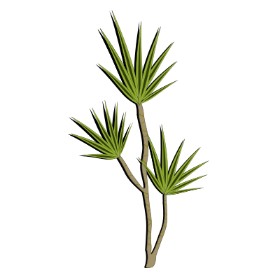Plant-02 clipart
