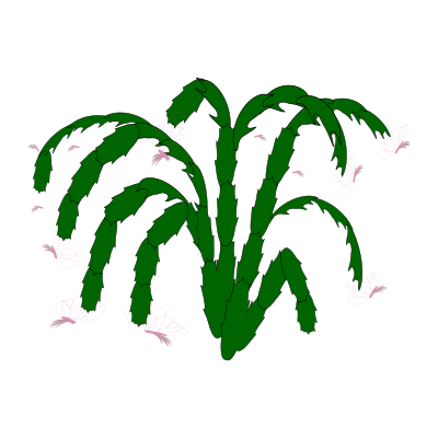 Plant-03 clipart