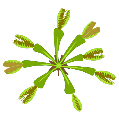 Plant-04 clipart