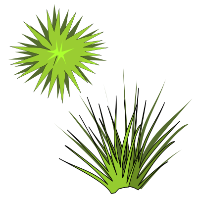 Plant-05 clipart