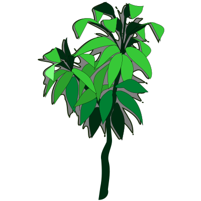 Plant-06a clipart