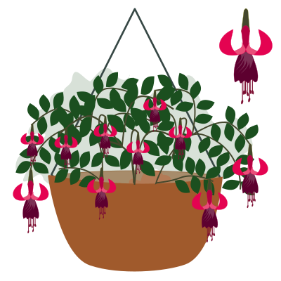Plant-07 clipart