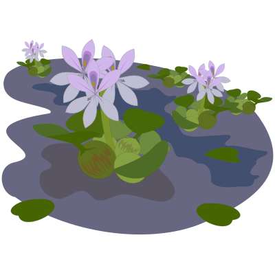 Plant-08 clipart
