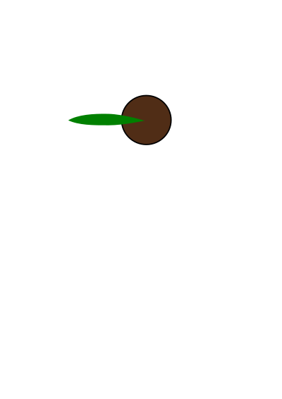 Plant 1 clipart