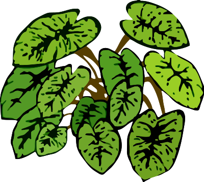 Plant 1 clipart