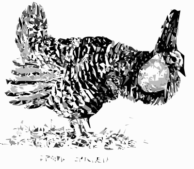 Prairie Chicken Bird clipart
